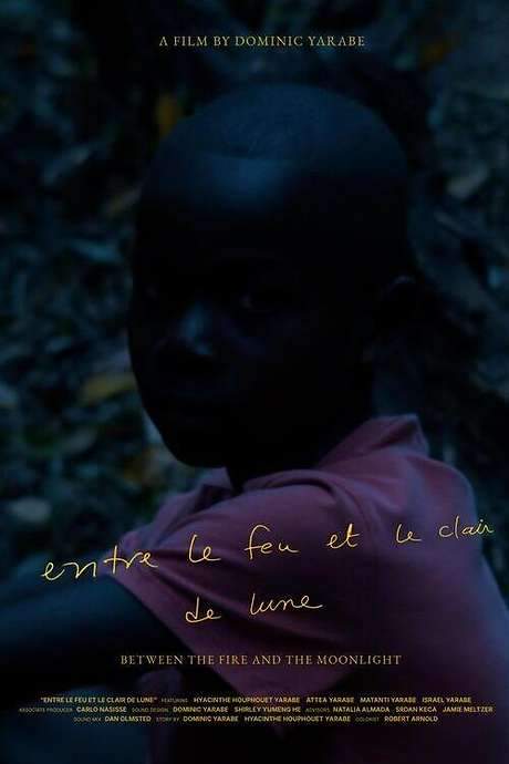 An Ivorian father and his daughter embark on a journey to complete a book he began years ago, documenting his experiences during a childhood war. As they work together, the story intertwines with the lives of children in their village, creating a poignant connection between three generations through shared timelines, dreams, and cherished memories.